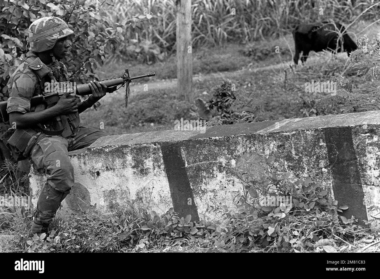 A soldier, armed with an M16A1 rifle, patrols the area around Point Salines Airport Operation URGENT FURY. Subject Operation/Series: URGENT FURY Country: Grenada (GRD) Stock Photo