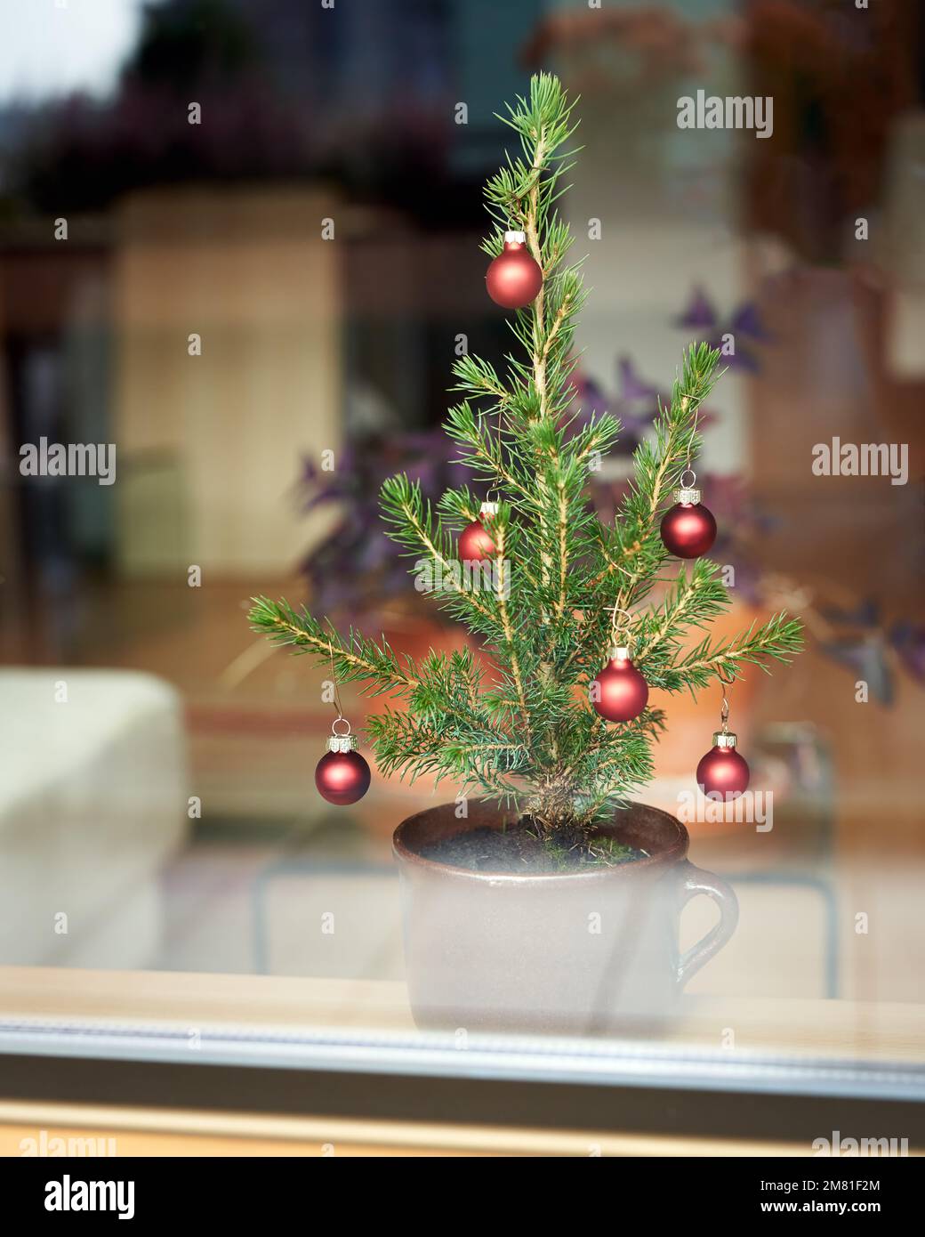 Small decorated Christmas tree in a pot on a windowsill viewed from