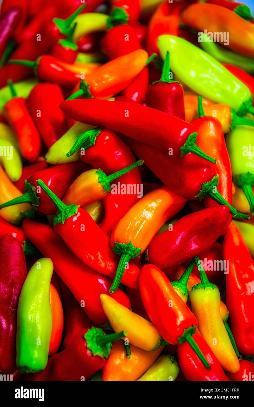 Ripen chilli hires stock photography and images Alamy