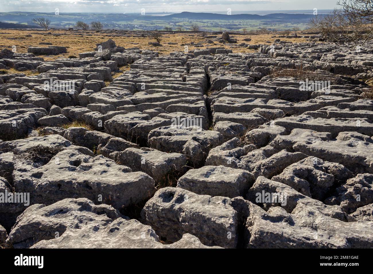 Hutton Roof, UK: Newbiggin Crags limestone pavement, Farleton Fell. Dramatic weathered rock formation created during the ice age. Stock Photo