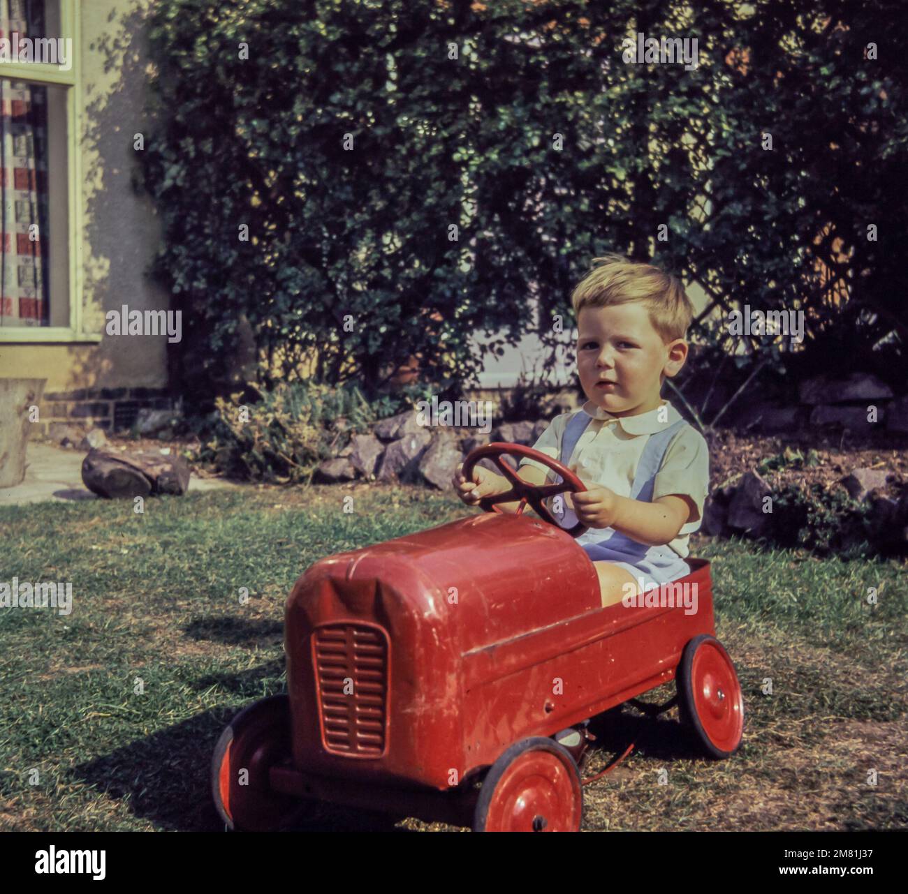 A two year old boy drives a toy tractor in a garden in 1959. This photo was taken from the original slide. Stock Photo