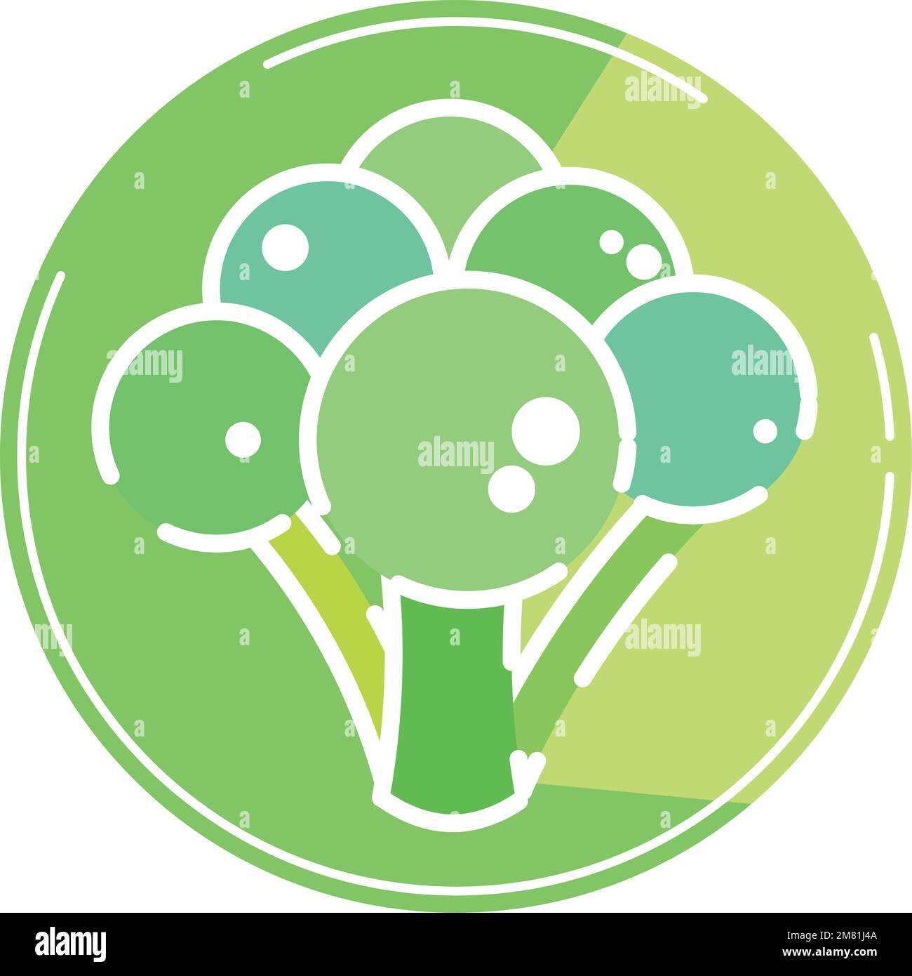 Isolated colored broccoli icon Flat design Vector Stock Vector Image ...