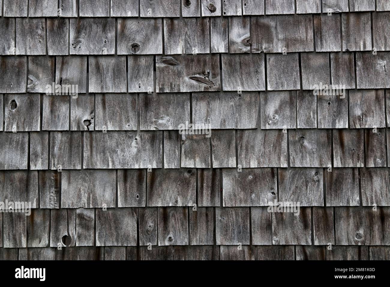 The old board siding on a fishing shack. Sandy Cove, Nova Scotia. Stock Photo