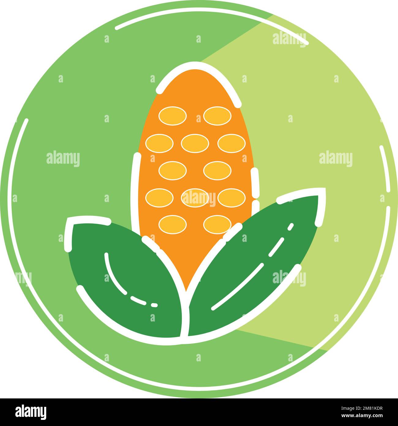Isolated colored corn icon Flat design Vector Stock Vector Image & Art ...