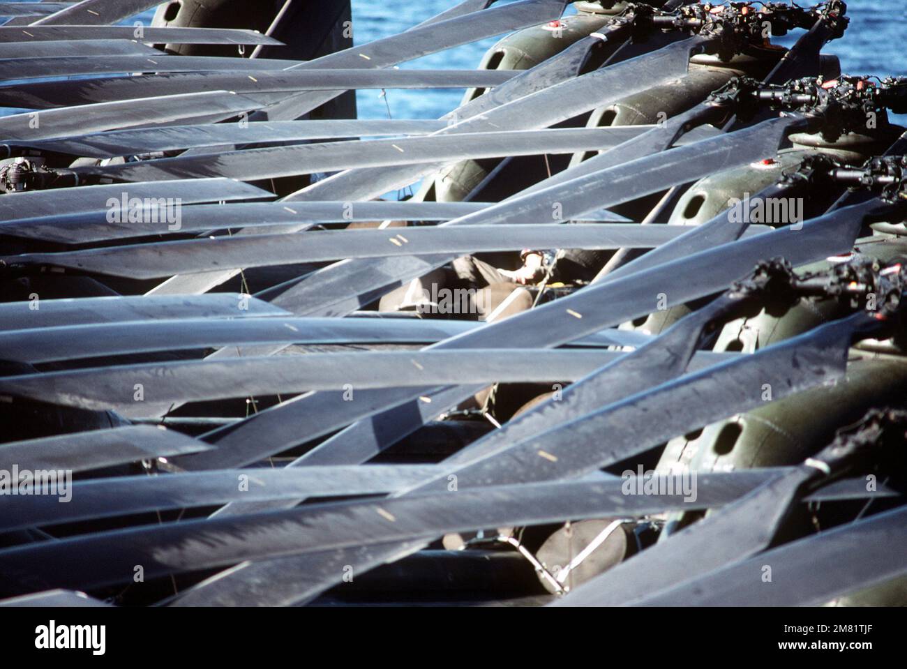 The folded rotor blades of CH46E Sea Knight helicopters from Marine