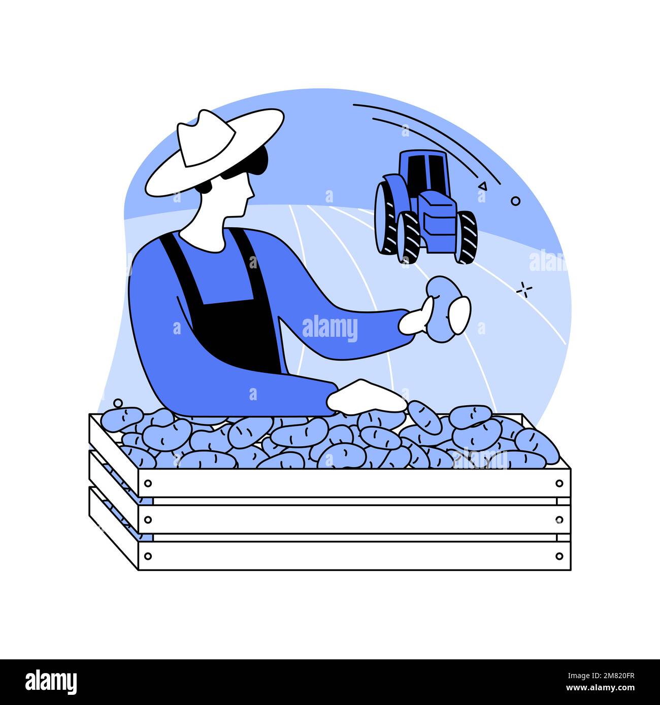 Potato growing isolated cartoon vector illustrations Stock Vector Image