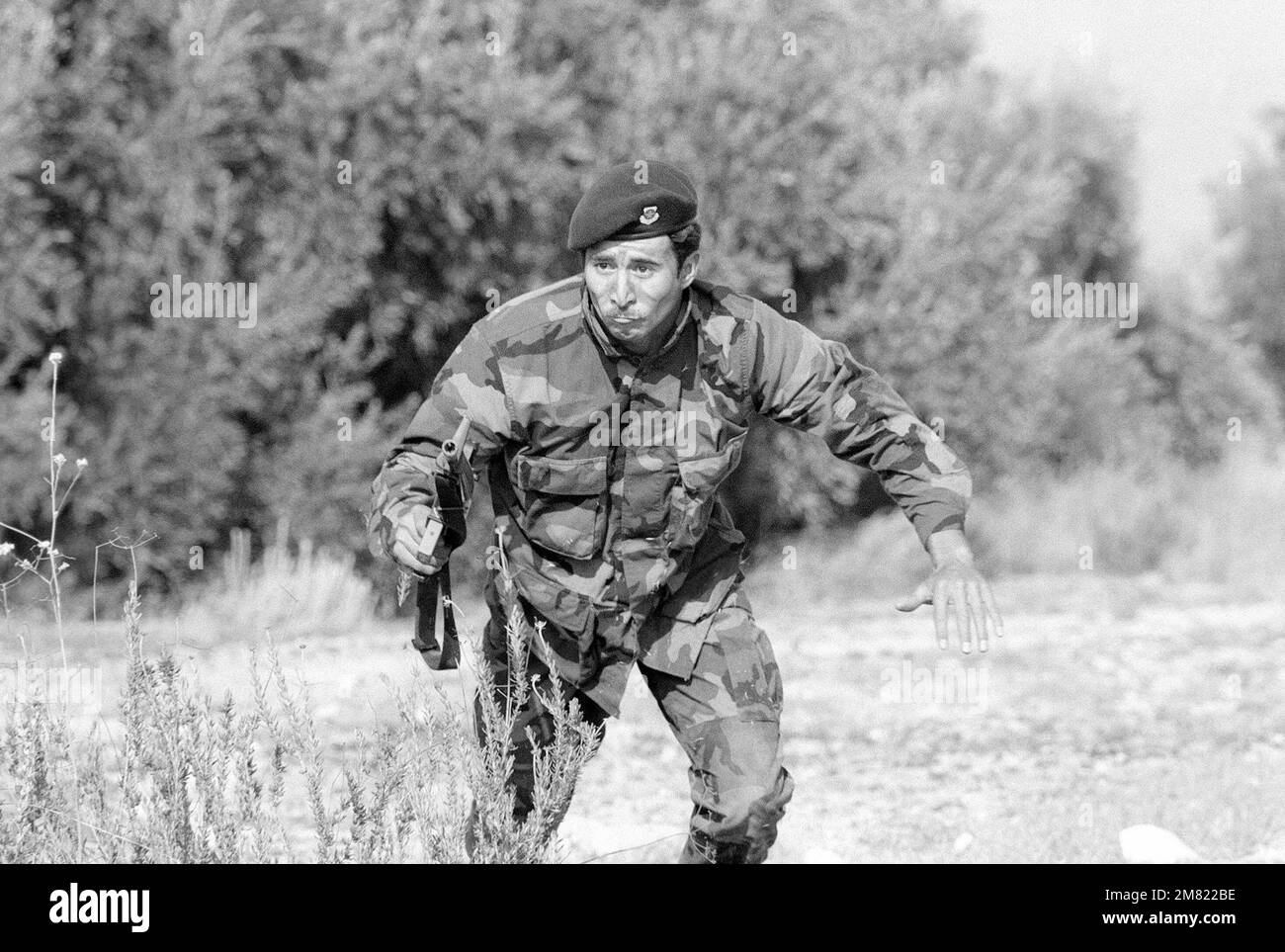 DF-SN-85-11498. Subject Operation/Series: 1984 VOLANT RODEO Base ...