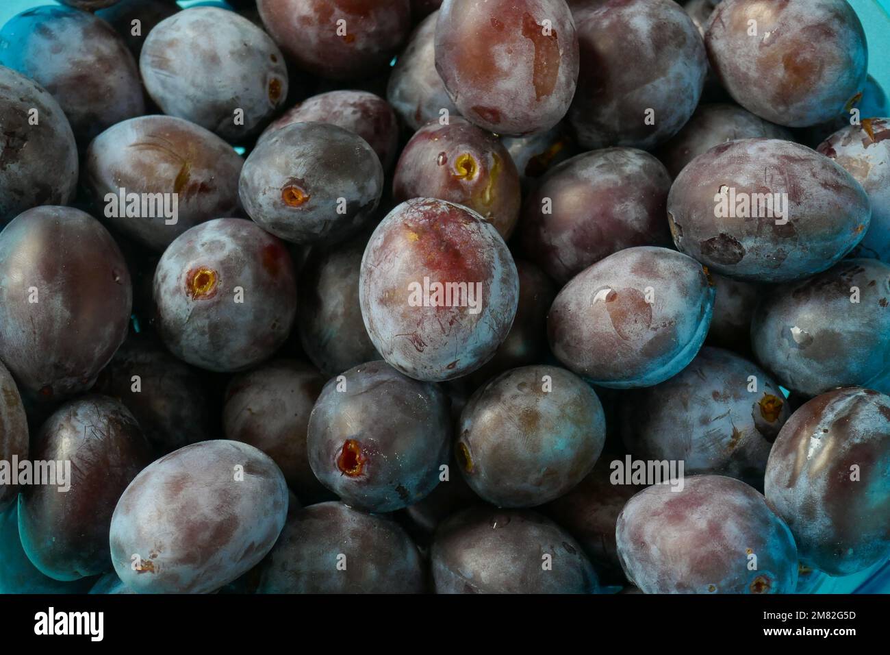 Plum background.Fresh plums in a blue cup. organic bio fruits. plum abundance.Plums harvest.Diet healthy fruit Stock Photo