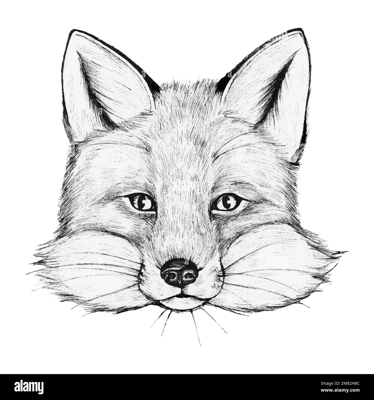 Fox doodle Black and White Stock Photos & Images Alamy