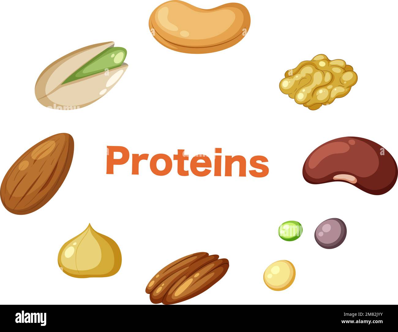 Fiber text around with nuts illustration Stock Vector