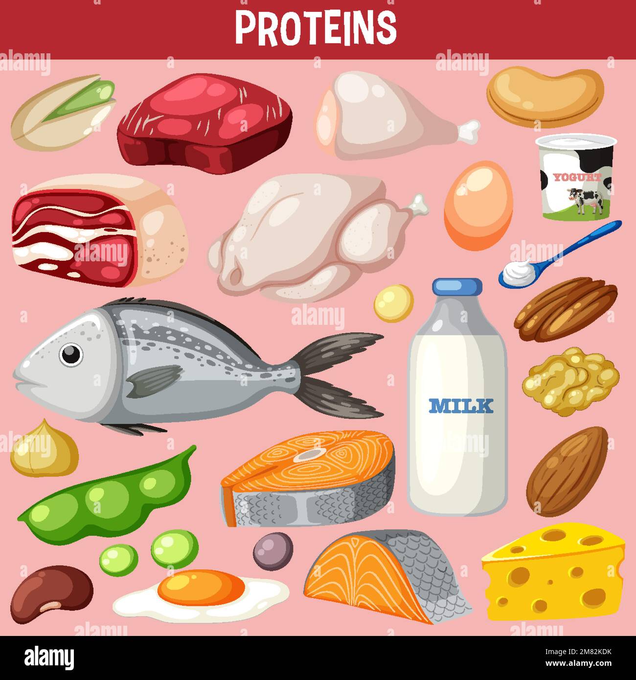 Variety of protein meats with text illustration Stock Vector Image ...