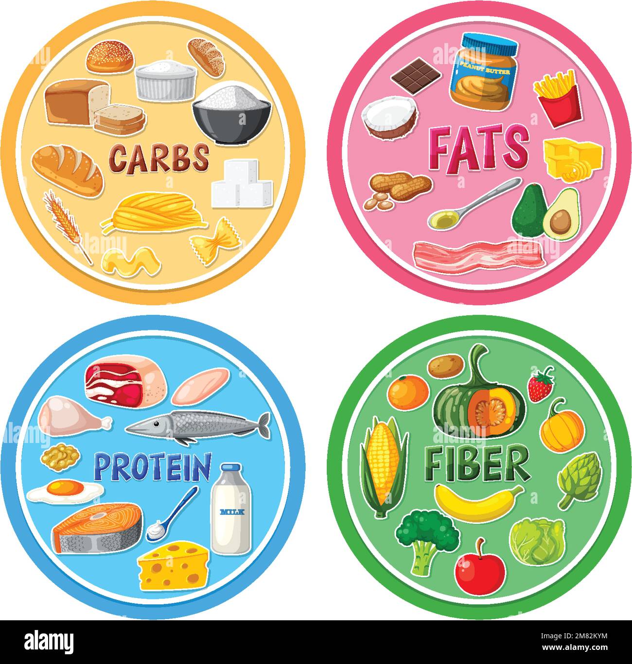 The four main food groups illustration Stock Vector