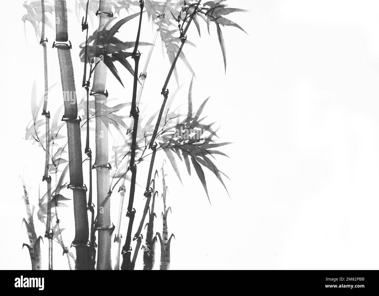 oriental Chinese bamboo branches is hand drawn on creamy paper Stock Photo