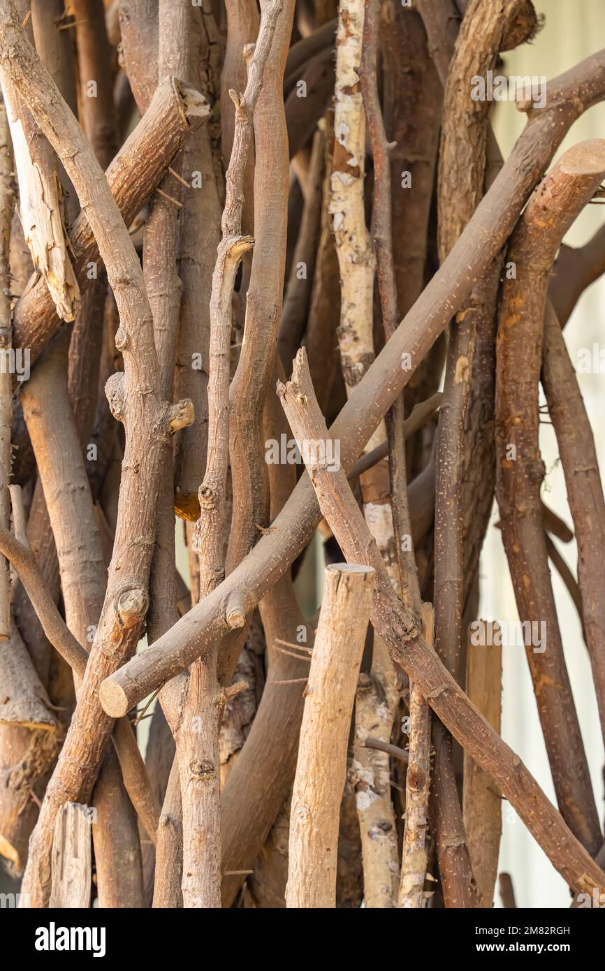 Cut branches of a tree stacked in a pile Stock Photo Alamy