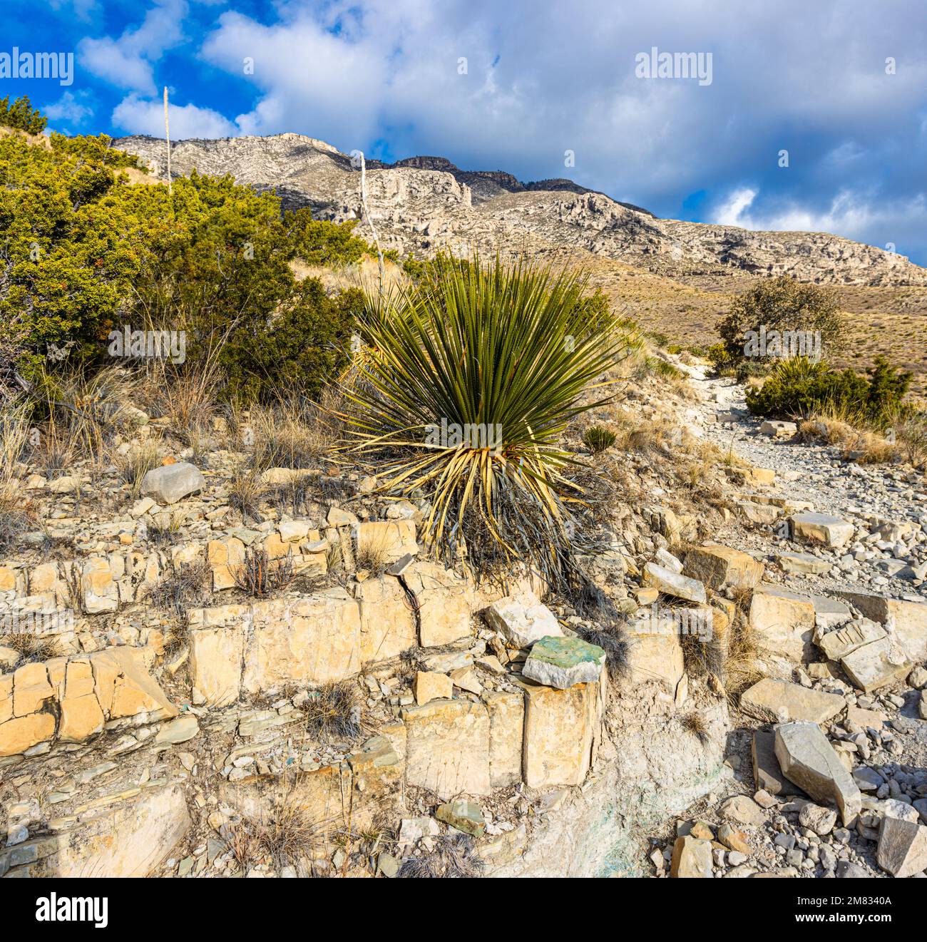 Large Boulders and Rugged Mountains - Large Boulders And Rugged Mountains Along The Smith Spring Trail Near The Historic Frijole Ranch Guadalupe National Park Texas Usa 2M8340A 