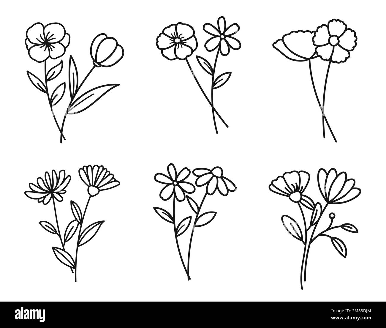 Floral branch set. Hand drawn with leaves and flowers on white ...