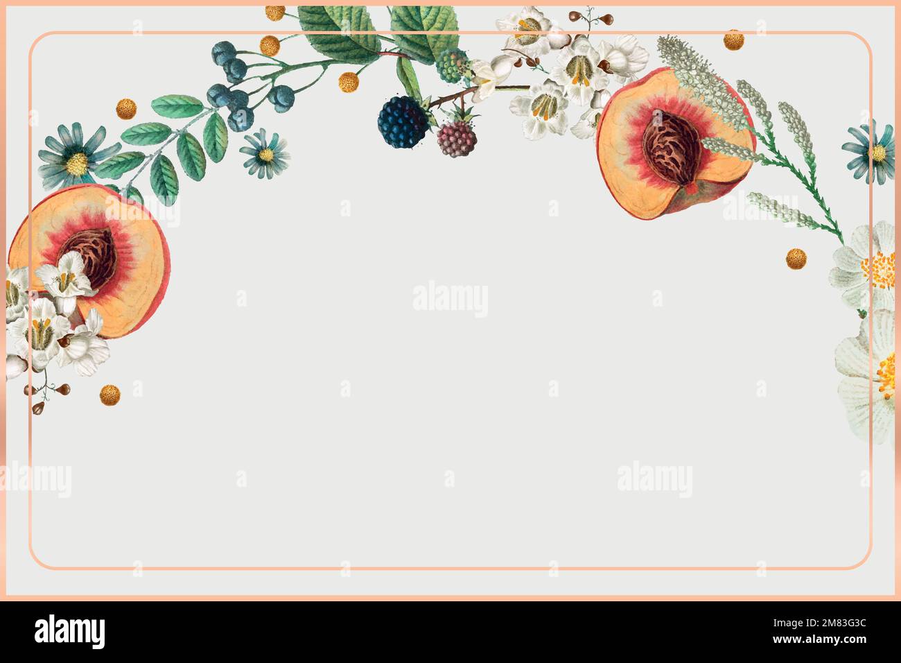 Vintage gold frame vector botanical background Stock Vector