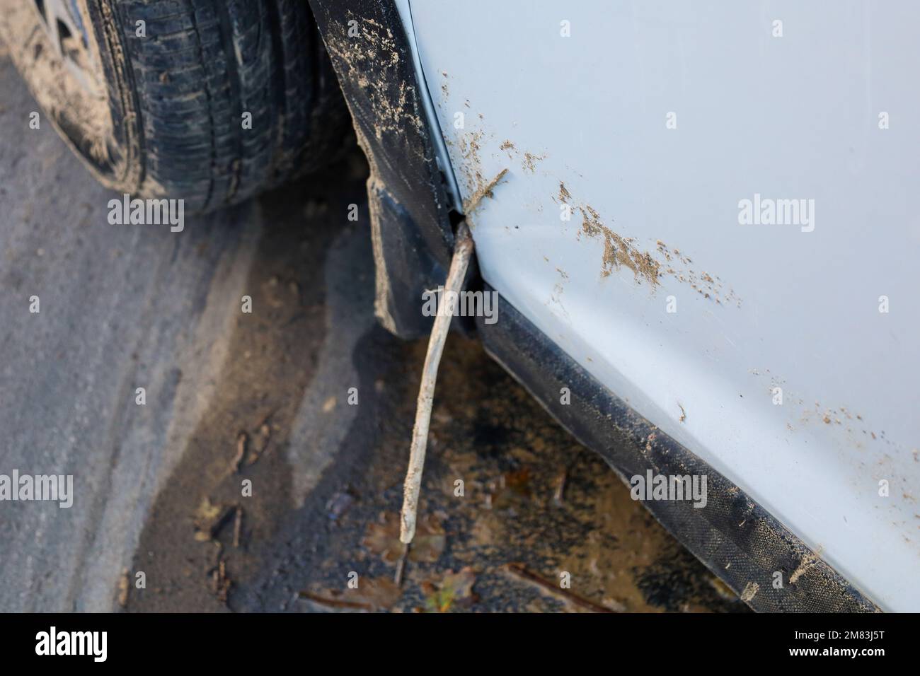 Santa Barbara, California, U.S.A. 11th Jan, 2023. A stick stuck in the seal of a white, 2019 Suburu Forester on January 11, 2023, with All-wheel drive and X-Mode activated, was no match for a mountain stream that gushed across the Rancho Oso Horse Ranch and Campground driveway in the Los Padres National Forest on January 9th. Context: The Santa Barbara Fire department pulled it out of the muck and parked it out of the way of other vehicles, but a tow truck has not been able to reach it. AAA Insurance agents have not been able to have it inspected, but expect it will be a total loss, as on Stock Photo