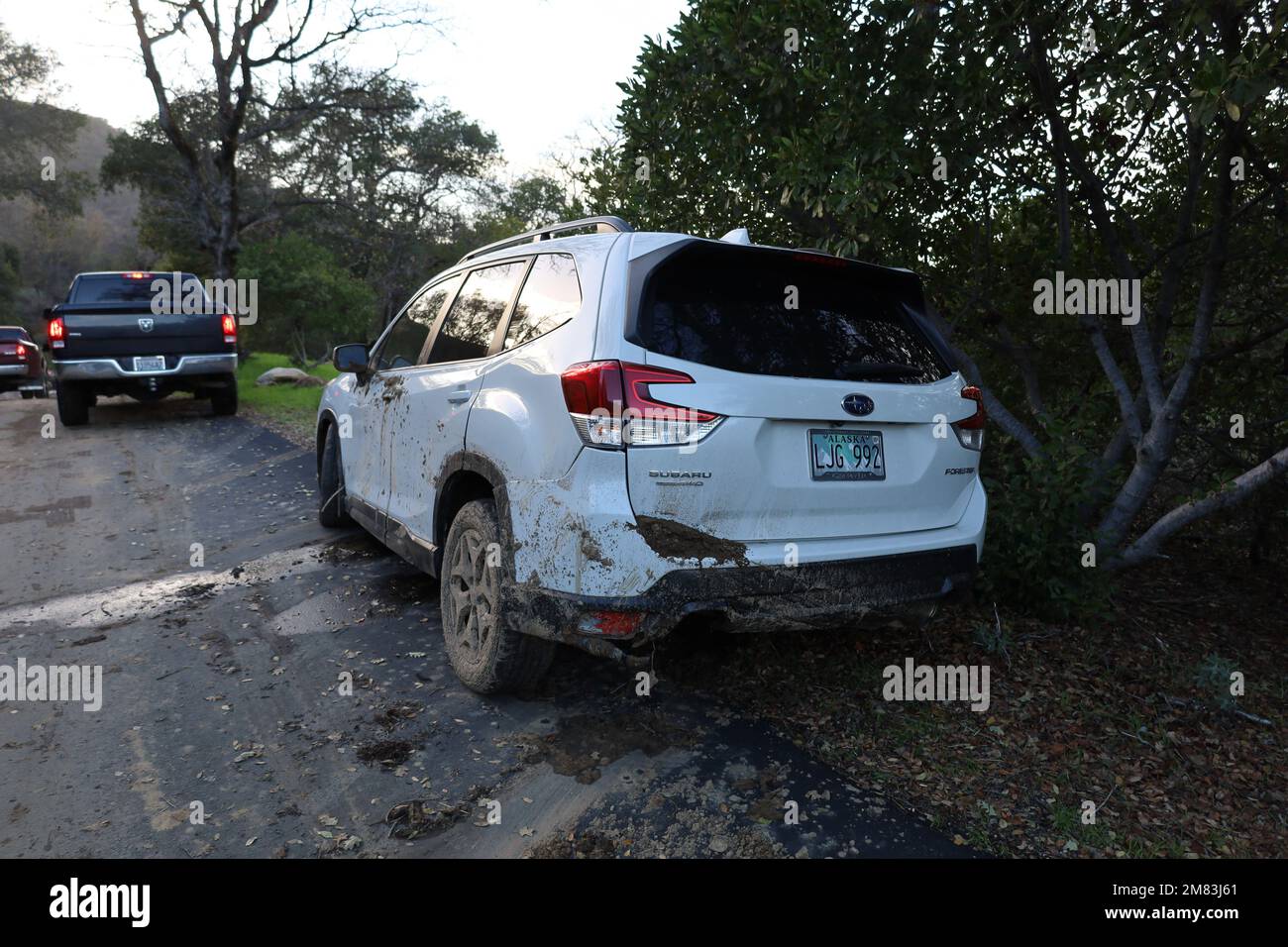 Santa Barbara, California, U.S.A. 11th Jan, 2023. A white, 2019 Suburu Forester on January 11, 2023, with All-wheel drive and X-Mode activated, was no match for a mountain stream that gushed across the Rancho Oso Horse Ranch and Campground driveway in the Los Padres National Forest. T.Context: The Santa Barbara Fire department pulled it out of the muck and parked it out of the way of other vehicles, but a tow truck has not been able to reach it. AAA Insurance agents have not been able to have it inspected, but expect it will be a total loss, as one explained, 'When a newer car is submerg Stock Photo