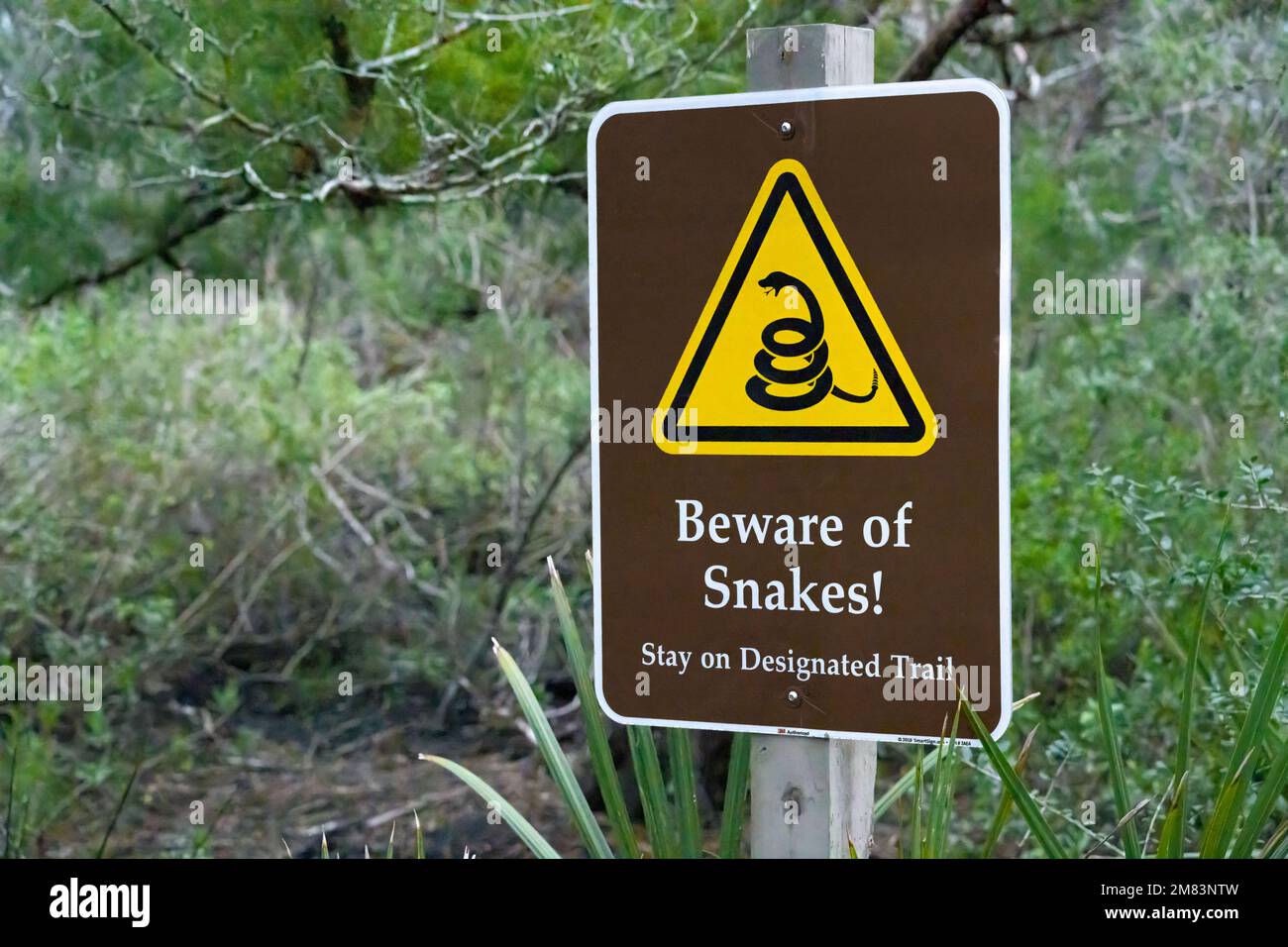 Tolomato river boardwalk trail hi-res stock photography and images - Alamy