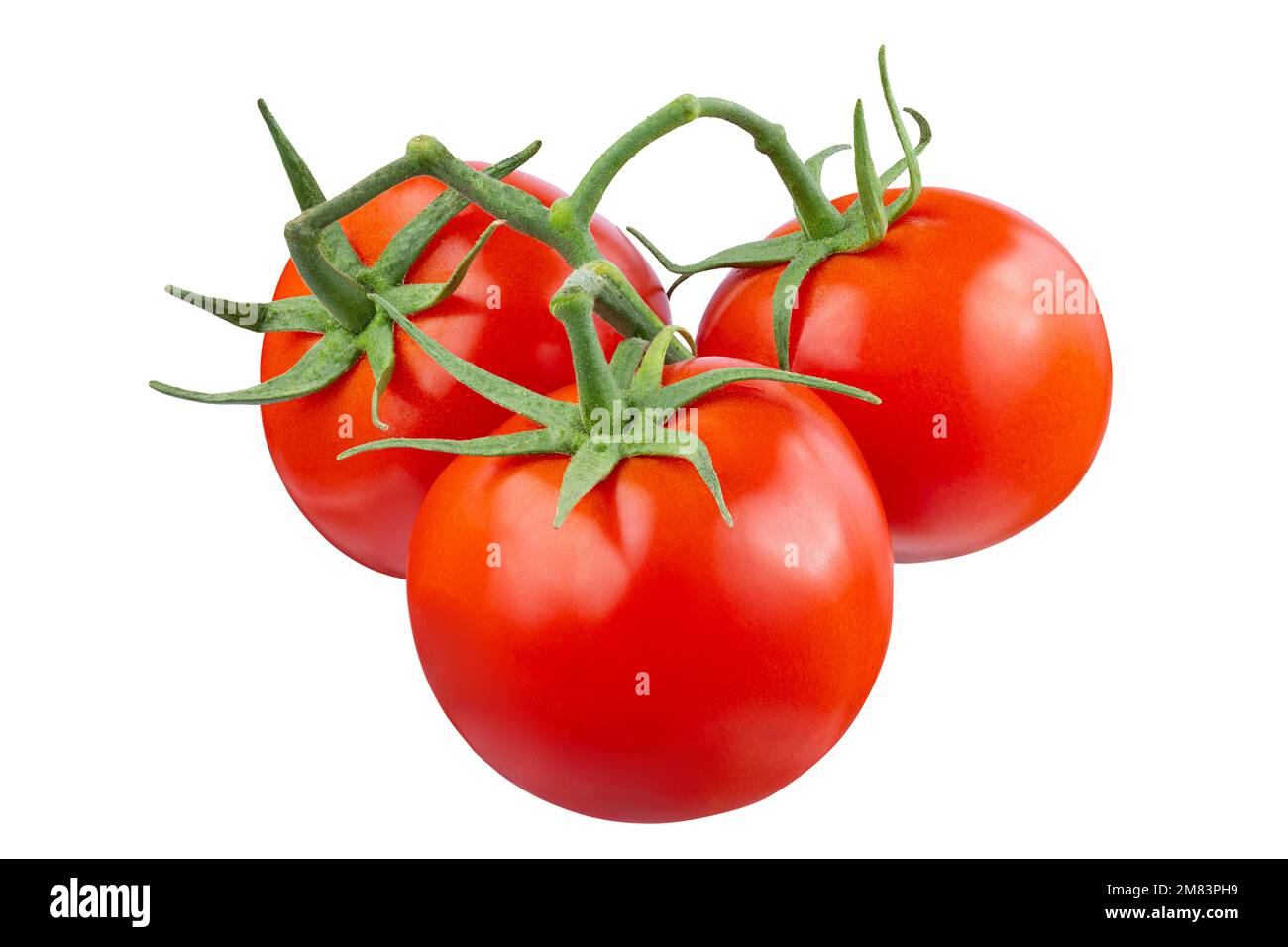 Tomato isolated on white background. With clipping path. Full depth of field. Focus stacking Stock Photo