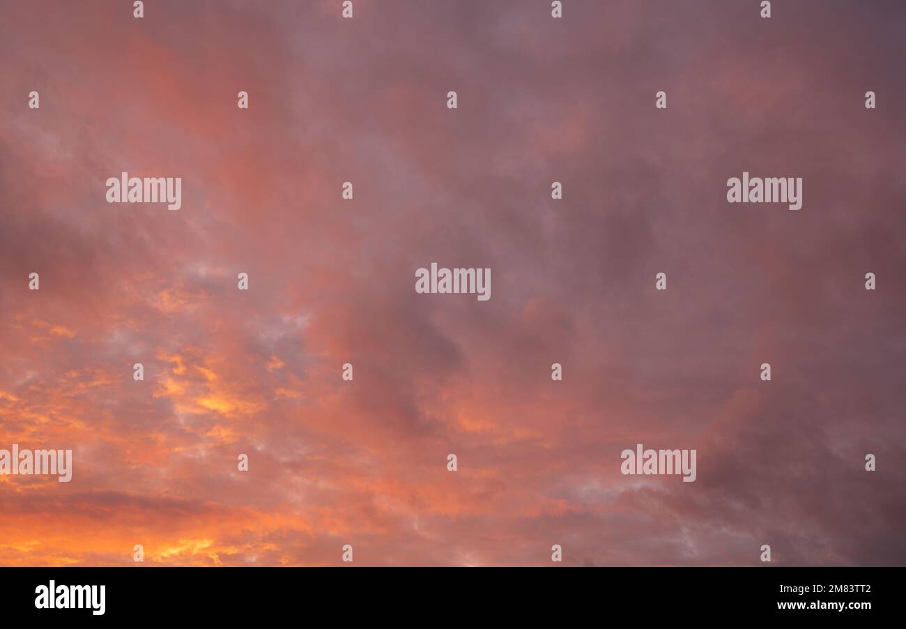 Evening sky with pastel-colored clouds Stock Photo