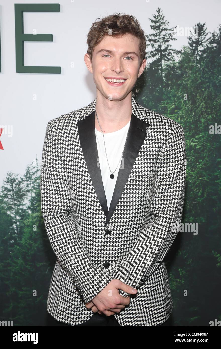 Dog gone johnny berchtold hi-res stock photography and images - Alamy