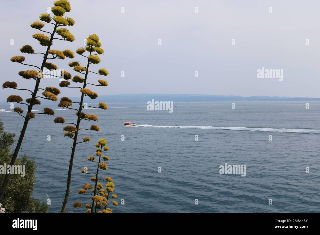 High resolution sea hi-res stock photography and images - Alamy