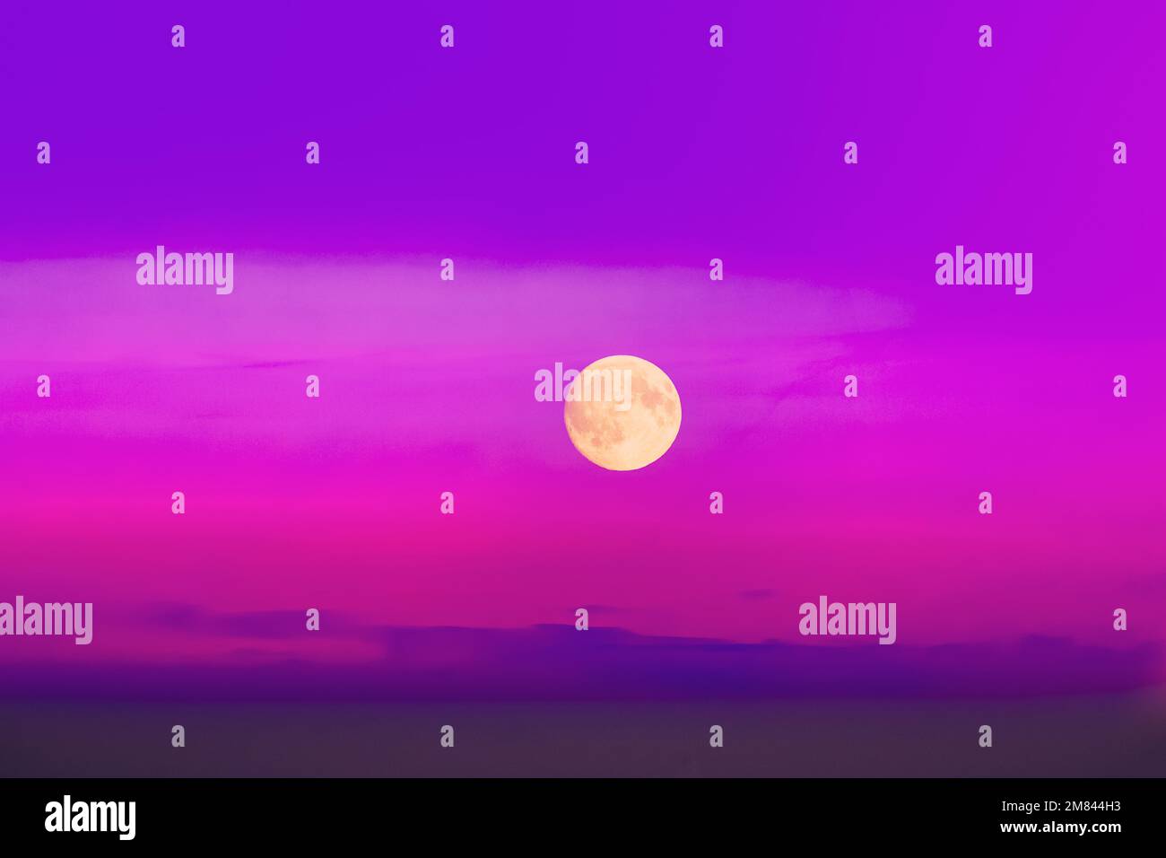 Fool Moon In Pink Magenta Cloudscape Sky Background. Magic Night View. Wizzard Conception. Violet Purple Scenery Background Moonrise Above Foggy Land Stock Photo