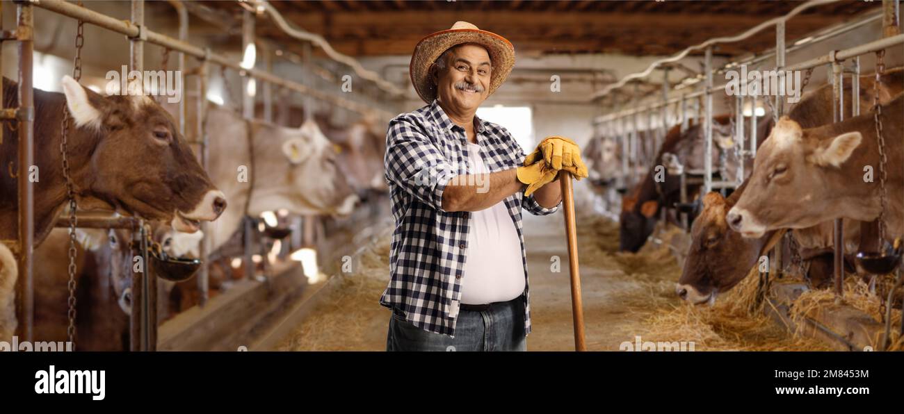 https://c8.alamy.com/comp/2M8453M/mature-man-with-a-straw-hat-leaning-on-a-wooden-stick-inside-a-cow-farm-2M8453M.jpg