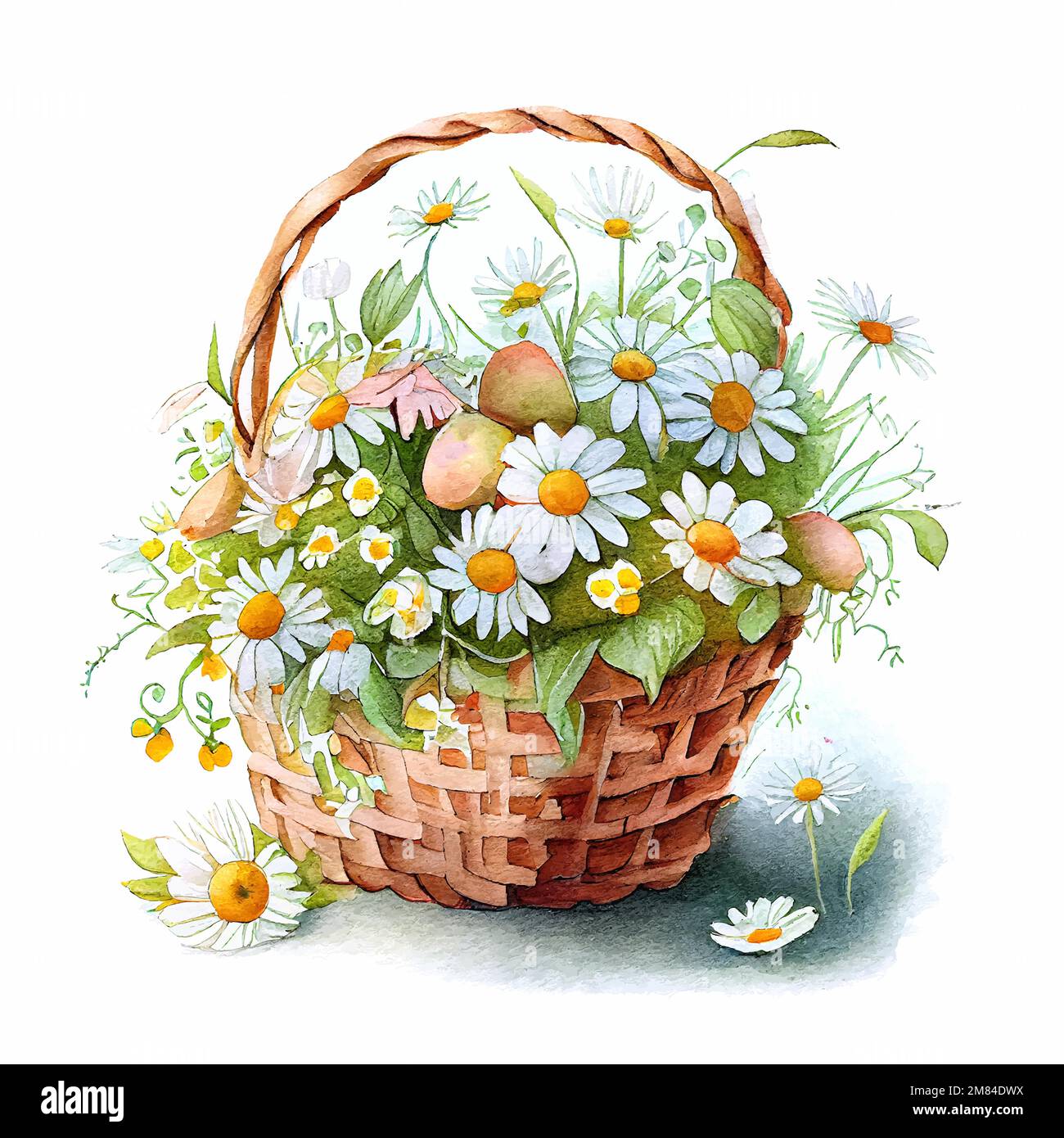 Cute watercolor basket with spring flowers Stock Vector Image & Art - Alamy