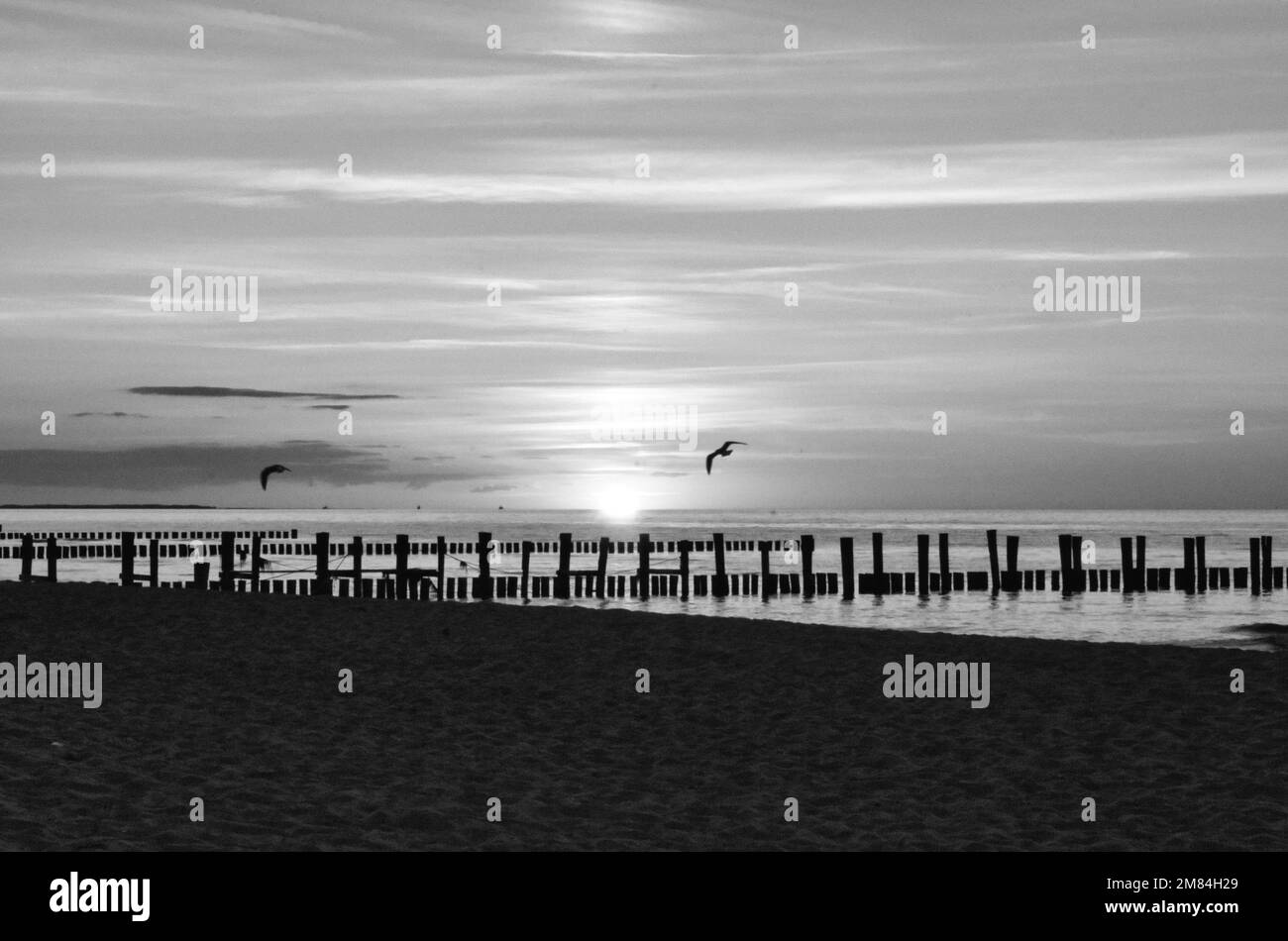 My favorite sunset Black and White Stock Photos & Images - Alamy