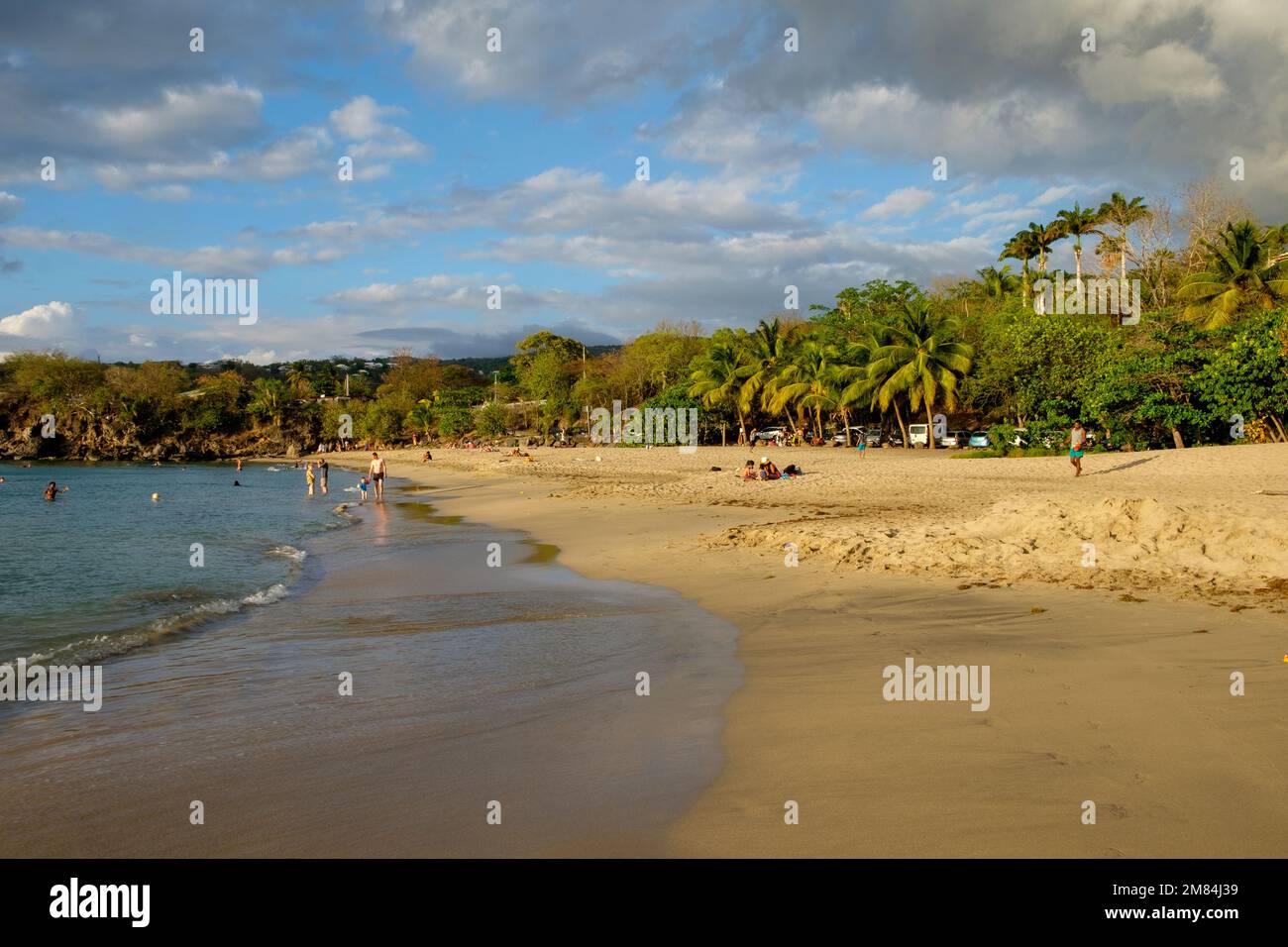 Beach in Guadeloupe (French West Indies Stock Photo Alamy
