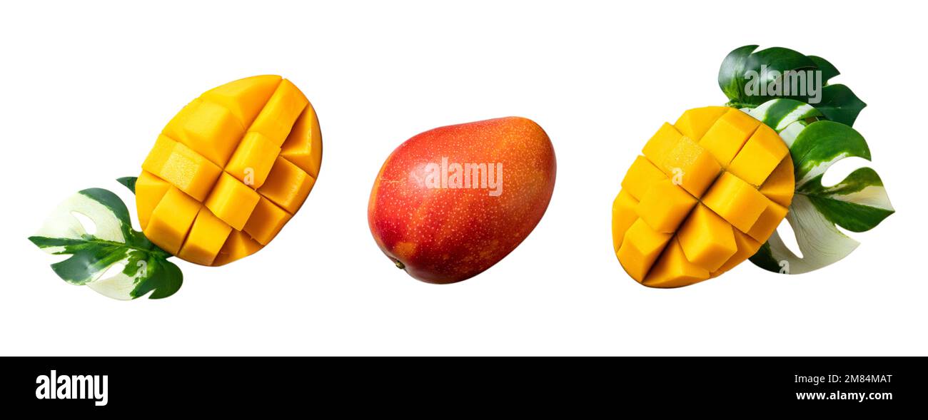 Beautiful delicious ripe mango isolated on white table background ...