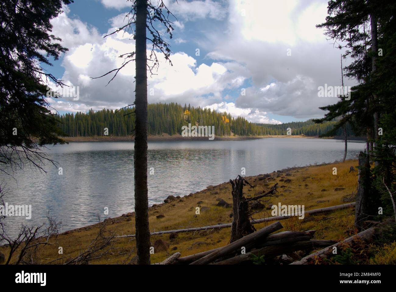 Looking across Leon Lake on Colorado's Grand Mesa Stock Photo Alamy