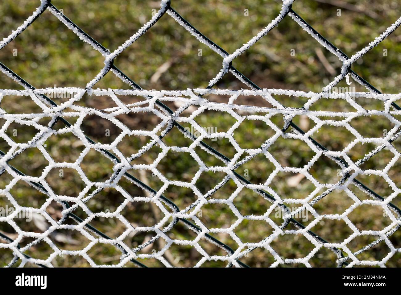 A chain-link fence with hoarfrost Stock Photo