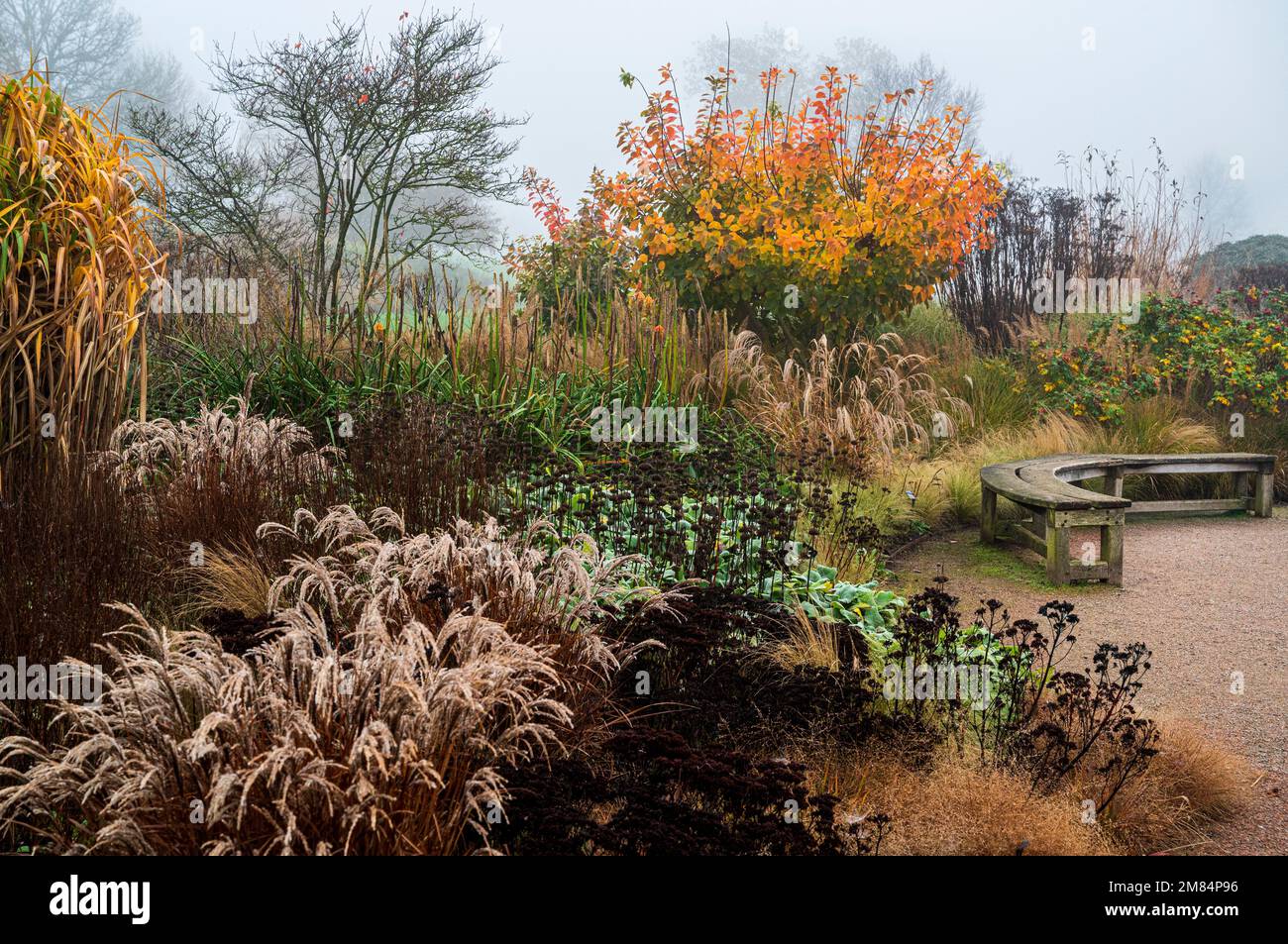 RHS Hyde Hall, Royal Horticultural Society, Clover Hill on a foggy autumn day. Stock Photo