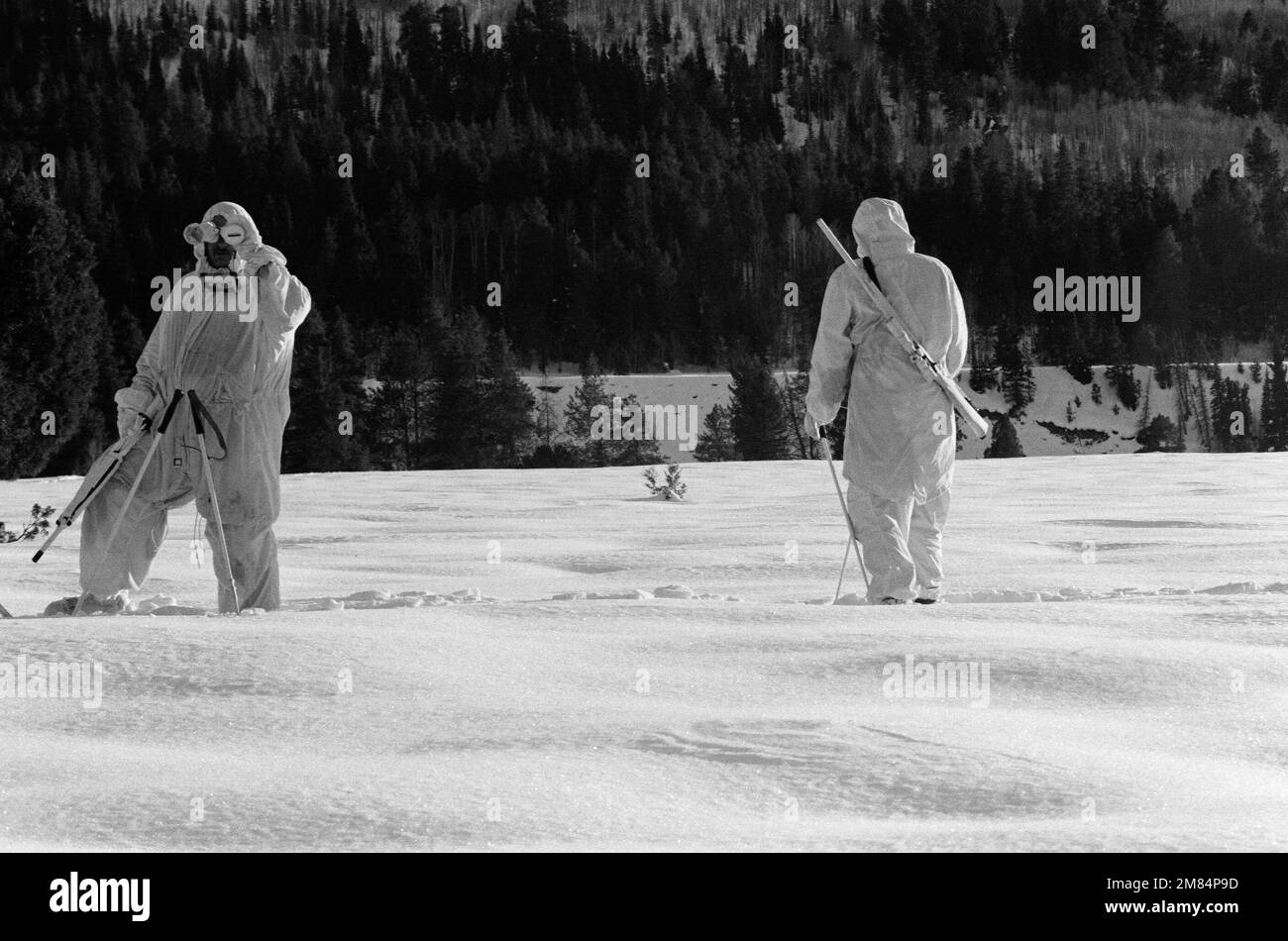 DM-SN-88-09734. Country: Canada (CAN) Stock Photo