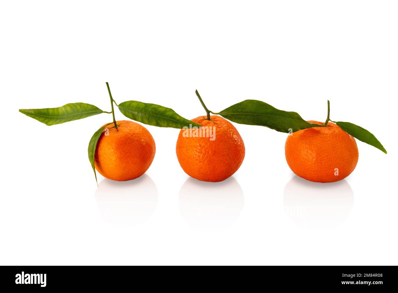 three Ripe tangerines with green leaves, mandarin citrus isolated on white with clipping path Stock Photo