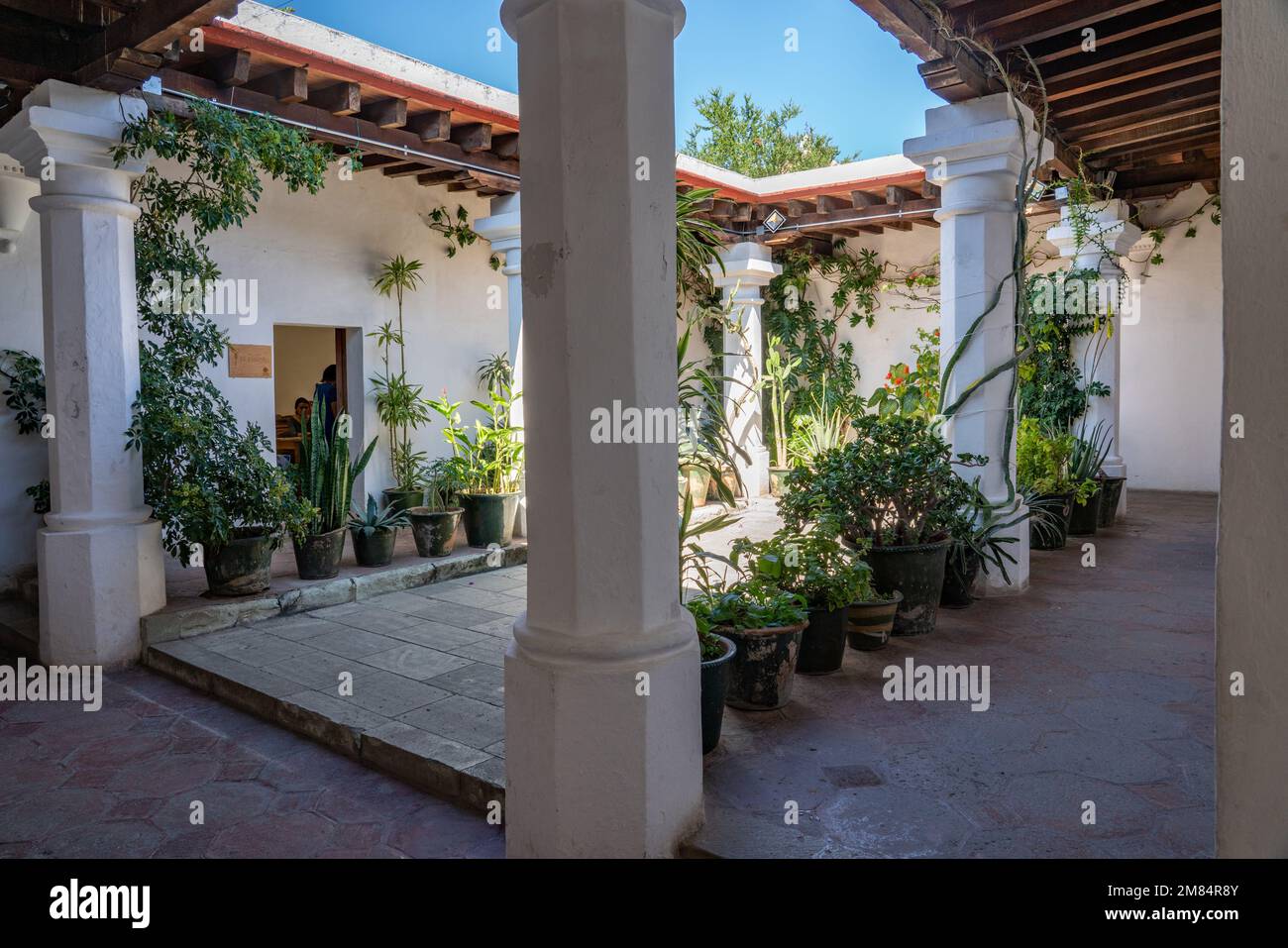 The inner courtyard of the Institute of Graphic Arts of Oaxaca in the