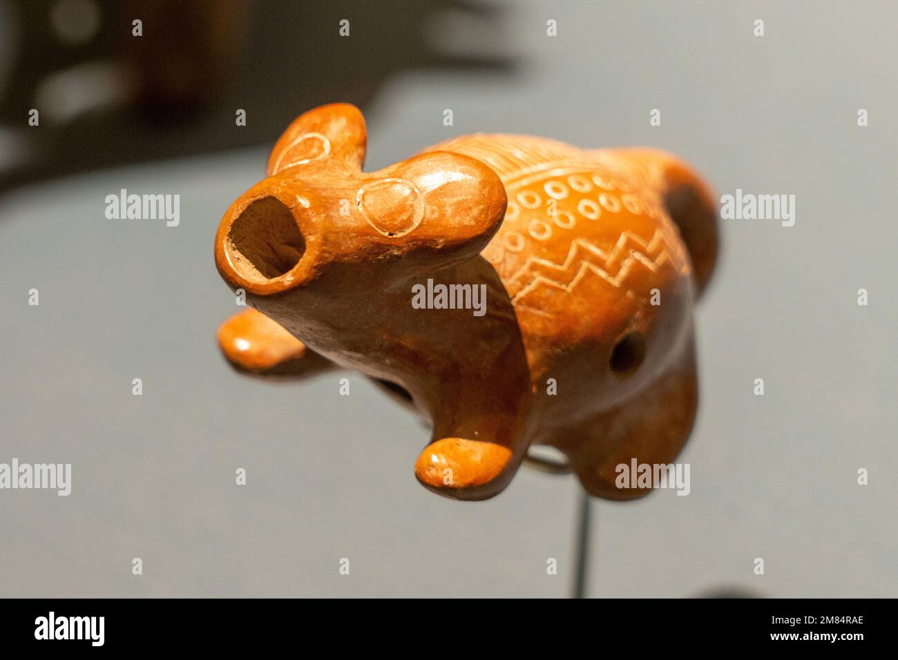 Pre-Hispanic ceramic figurine in the shape of a dog in the Museum of Oaxacan Culture, Oaxaca, Mexico.  From the Occidente or West Mexcio Culture of Co Stock Photo