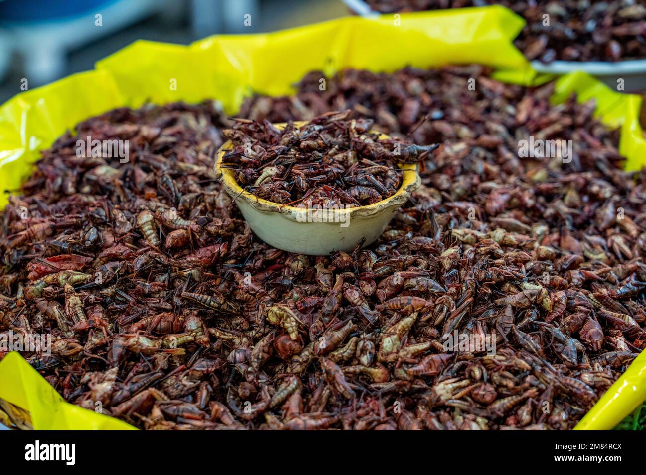 Chapulines or toasted for sale at the Benito Juarez Market