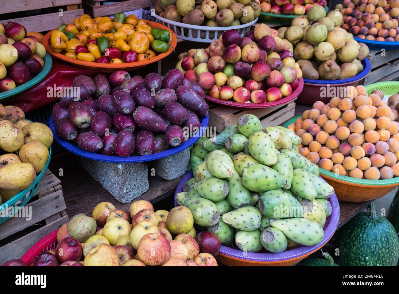 Cactus fruit & other produce for sale at a roadside stand in the Sierra Madre del Sur Mountains