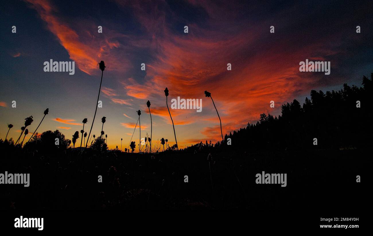 Sunset at Camp Grizzly Scout Ranch Stock Photo - Alamy