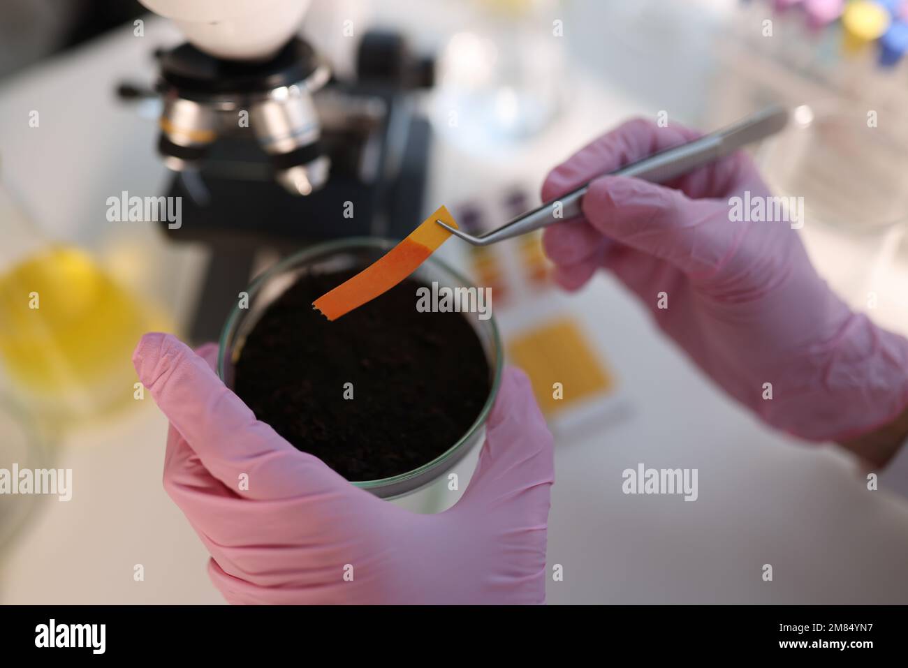 Laboratory analysis of soil and test strip PH Stock Photo Alamy