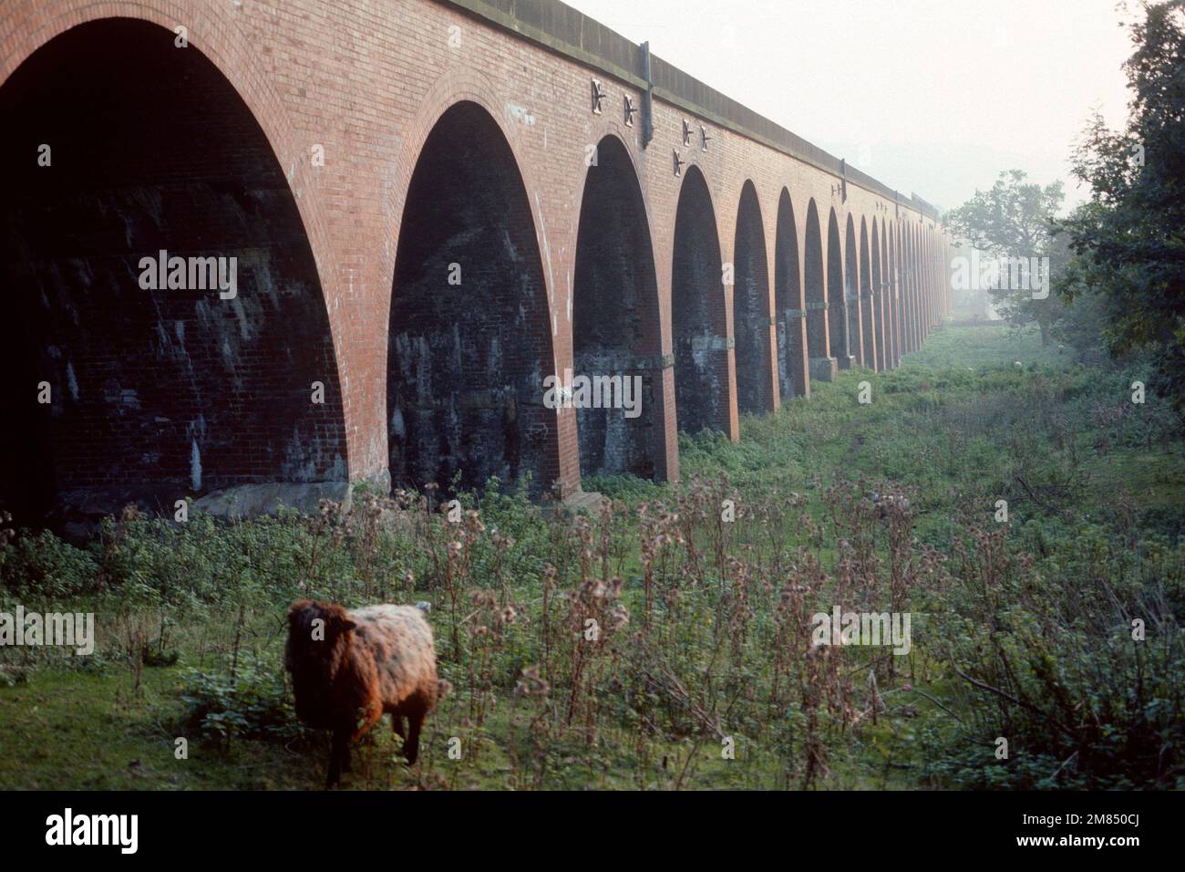 Whalley Viaduct in 1985, Whalley, Lancashire Stock Photo