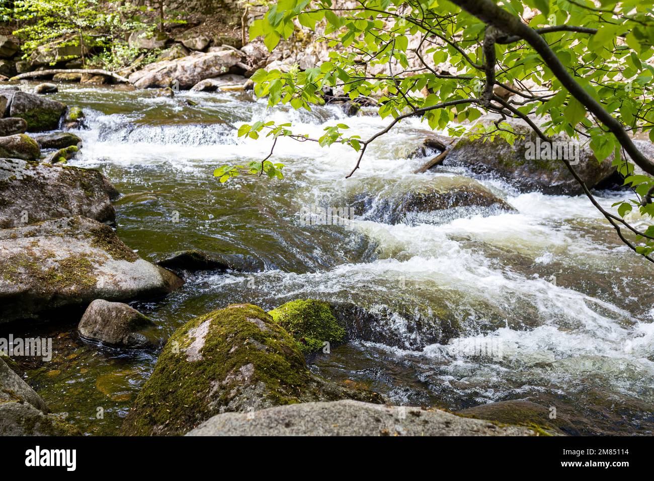 fluss im harz 4 buchstaben