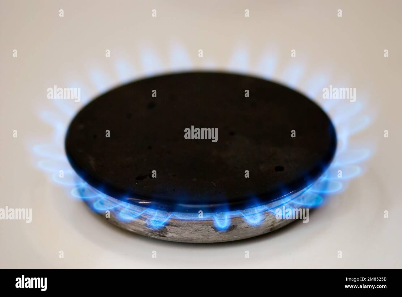 Natural gas burner blue flames Stock Photo Alamy