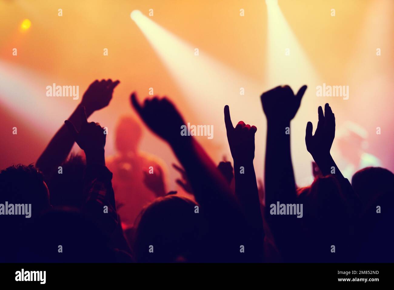 Put your hands in the air. A crowd of people celebrating and partying with their hands in the air to an awesome band. Stock Photo