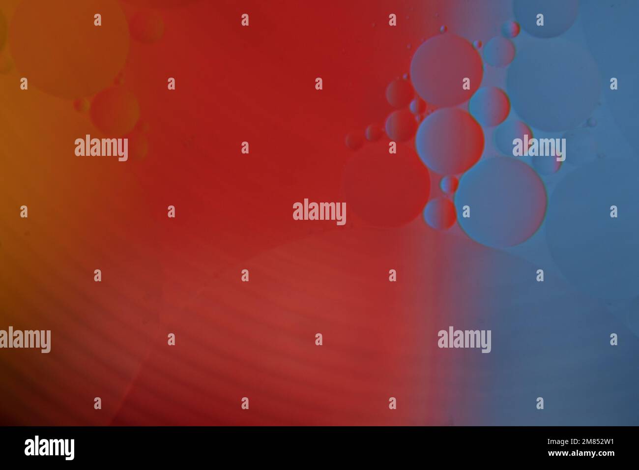 Colorful oil drops on water surface. Abstract red blue yellow macro background. Stock Photo